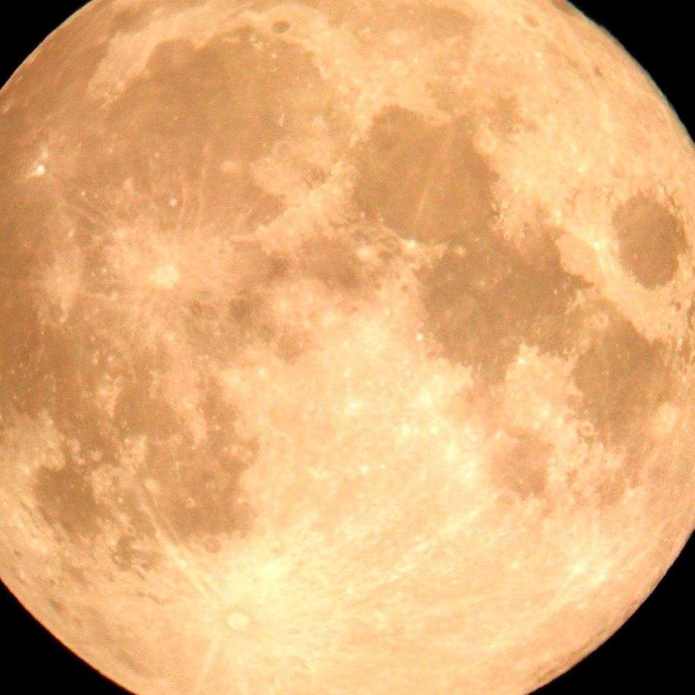 Meet your Posher, Zora